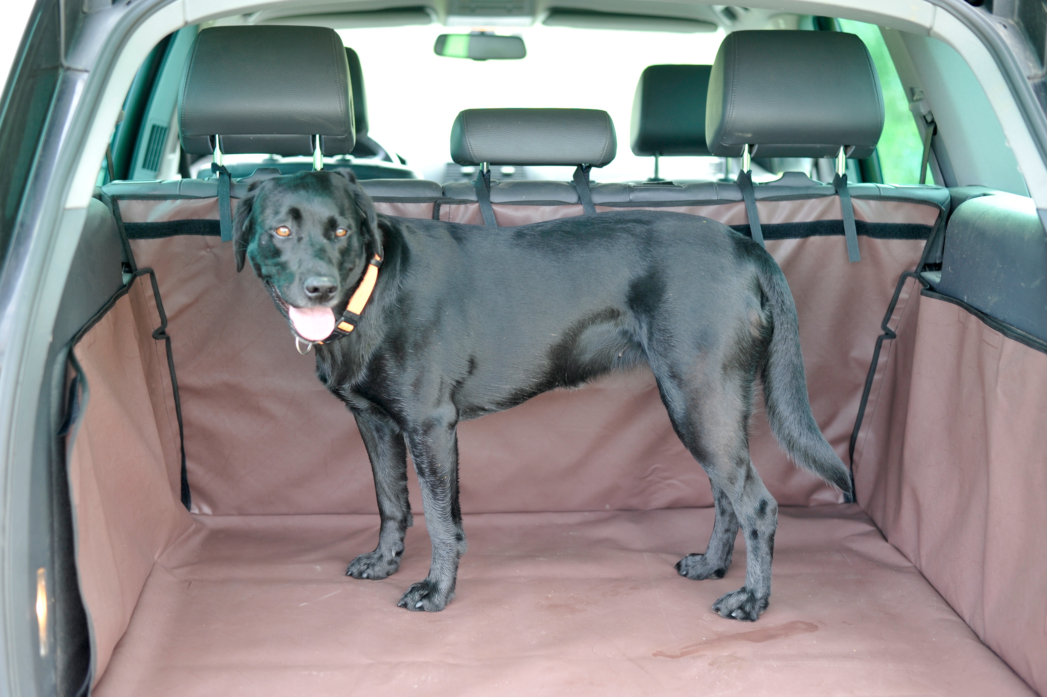 Hatchbag Kofferraumschutz