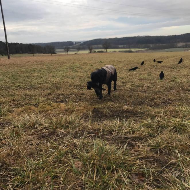 photo_2019-03-17_19-28-51