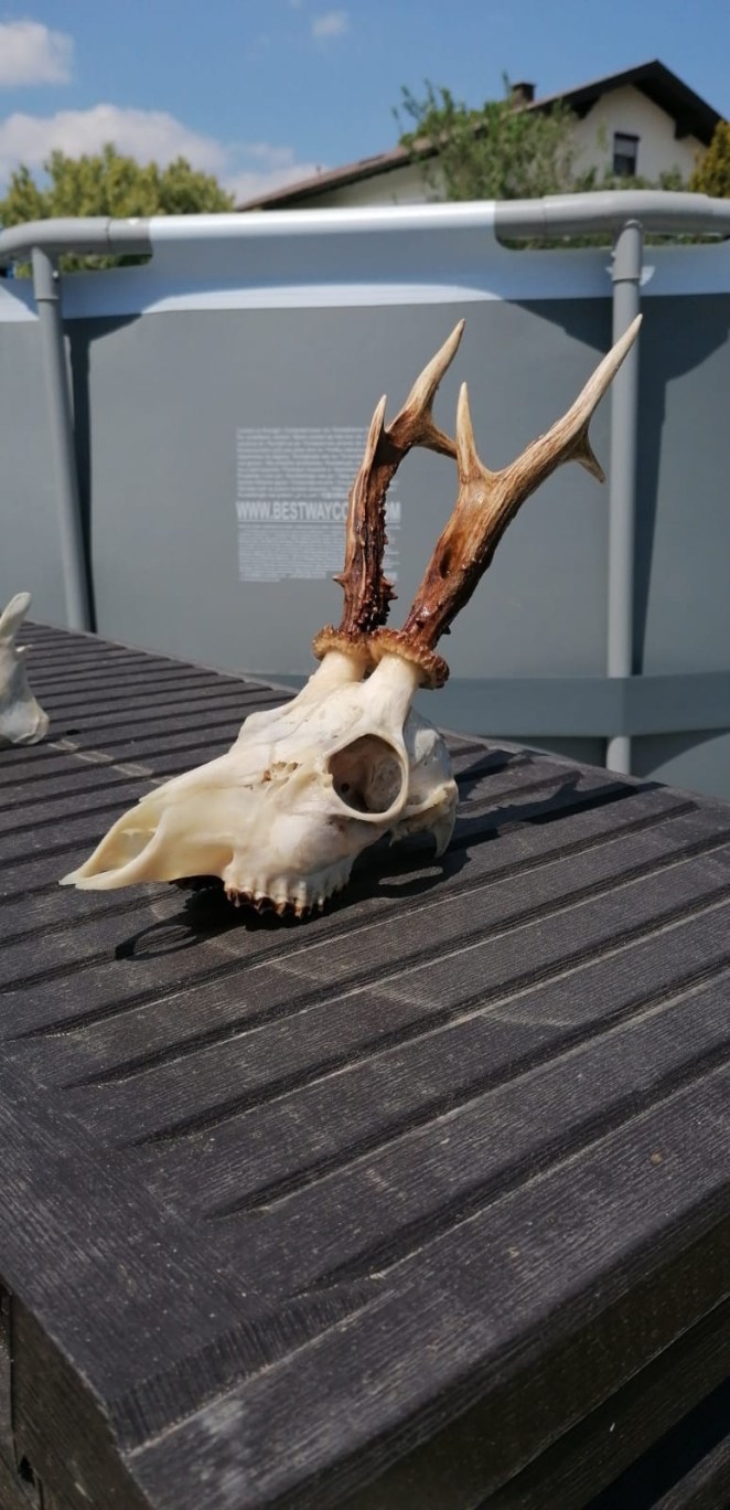 5e92fdf6-0680-407f-9cec-40688ac36087